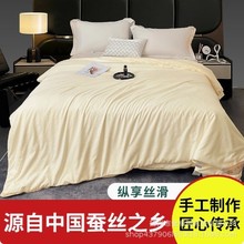 蚕丝被夏季空调被高档抗菌6A双宫茧桑蚕丝春秋被子母被被芯冬被
