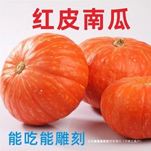 新鲜红皮南瓜低糖金瓜宝宝辅食倭瓜老南瓜万圣节南瓜灯5斤包批发