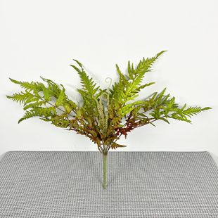 ֲ  ާGֲ ˹Pβާ21̖ާ