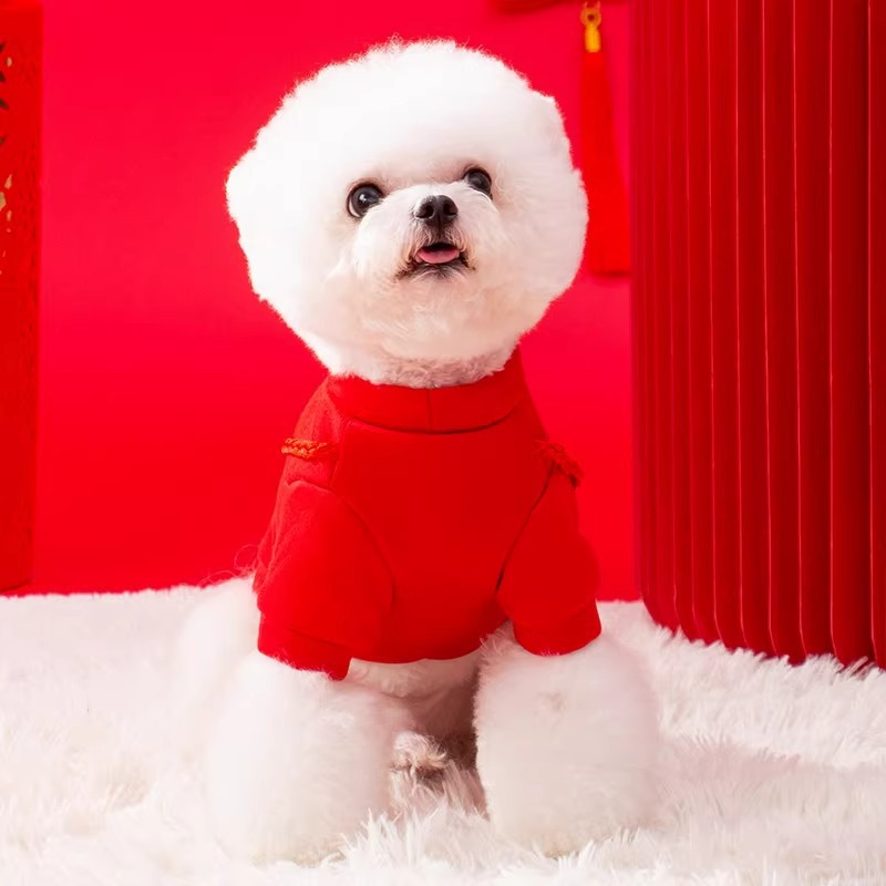 Perro Año Nuevo suéter Año Nuevo León danza mochila tridimensional oso de peluche Año Nuevo festivo Año Nuevo saludo ropa para mascotas