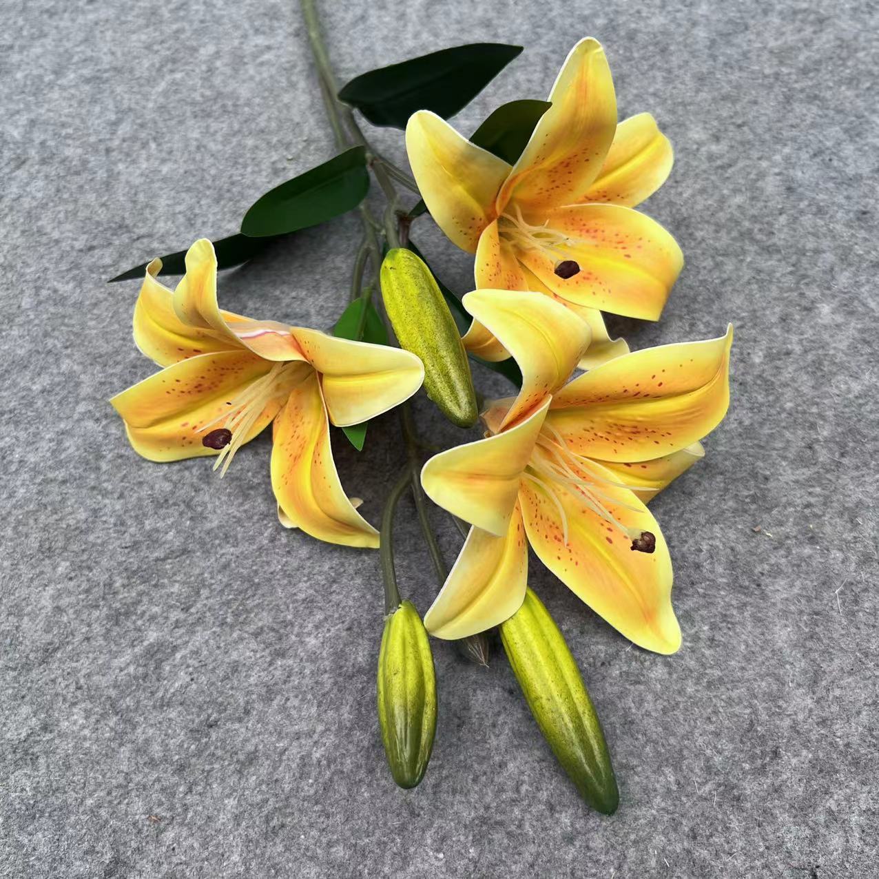 3 머리 긴로드 오렌지