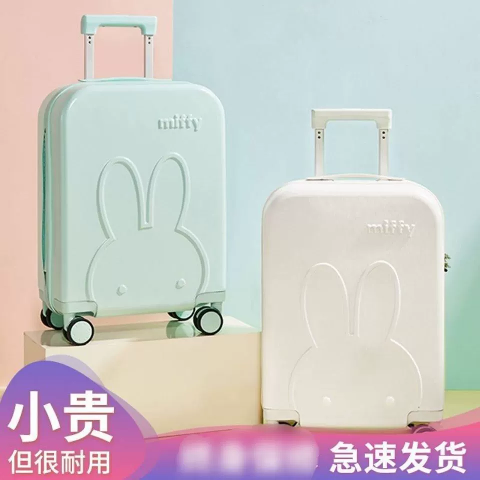 Japanese high quality fresh suitcase