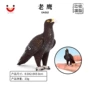 仿真鸟类野生认知模型
