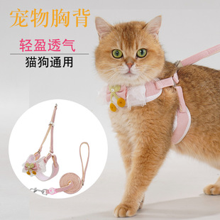 New Cat Leash, Dog Anti-Breakaway, Adjustable Vest-Style Small Dog Harness, Cat and Dog Leash for Walking Outside