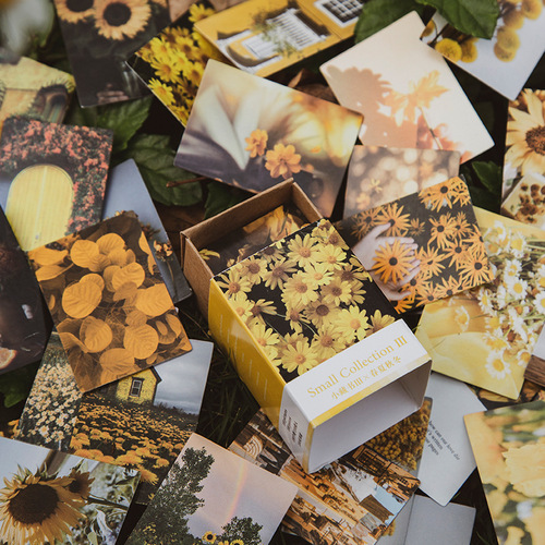 Mojing 100 mini note cards, small collection of books III spring, summer, autumn and winter series, 8 types of collage material message paper