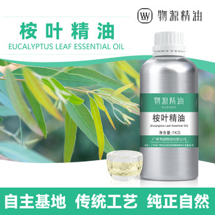 ���~����侫��ԭ�� ��ֲ����ȡ80%1,8-���~����Ȼ��􄩆η�����