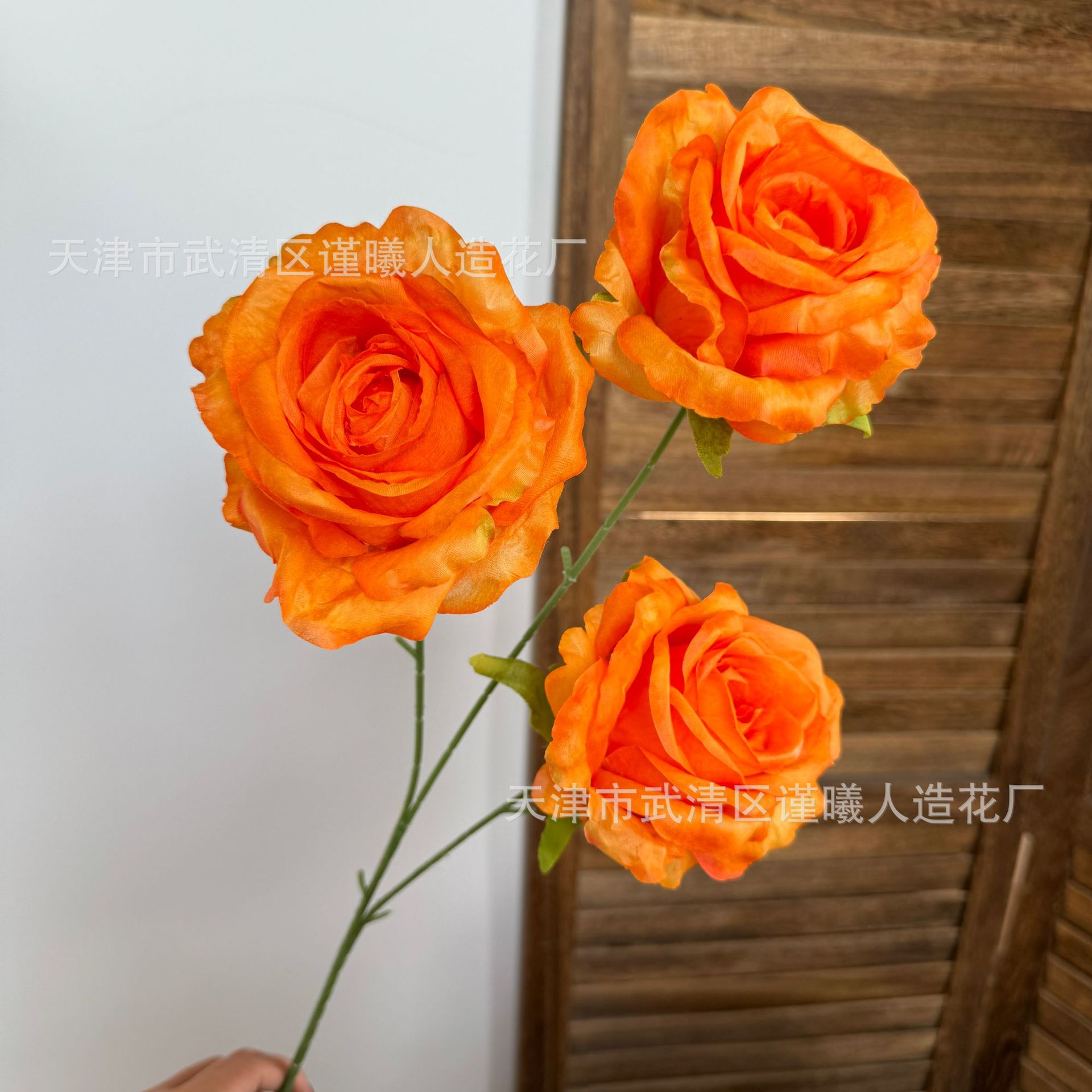 Hoa hồng tráng