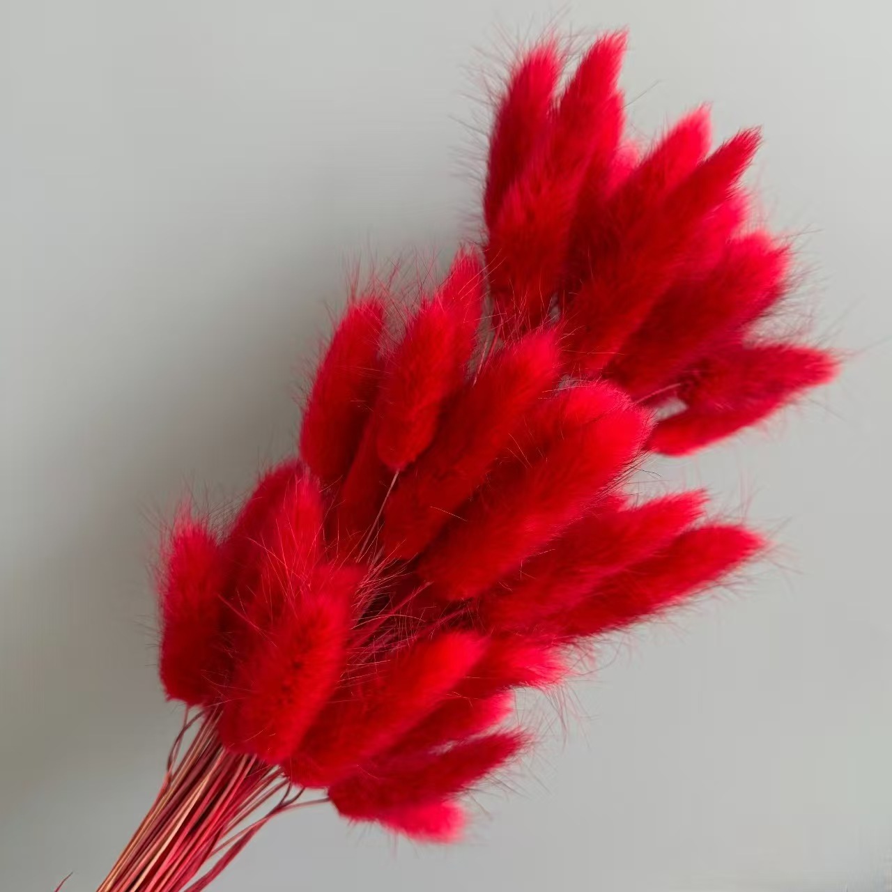 Flores de inmortalidad rojas decoración de boda flores secas de Año Nuevo para dar la bienvenida a los huéspedes frijoles de dragón grasa colgando arroz al por mayor