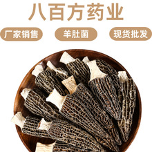 新货净重头茬羊肚菌100克新鲜干特产肉厚菌汤包煲汤食材批发家用