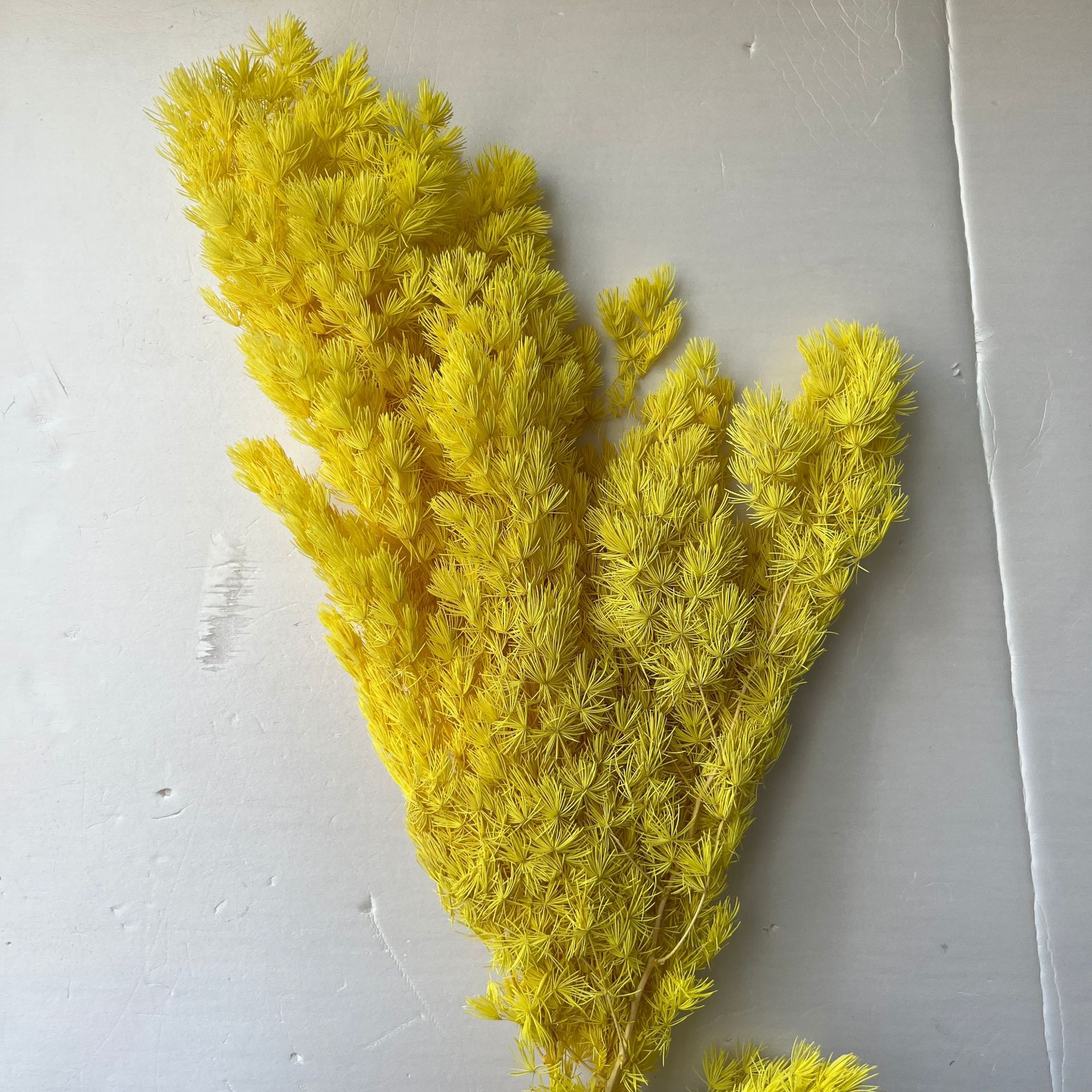 Kuning