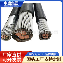 �͟��o�u�z�b������|WD-KYJY33 24*1.5
