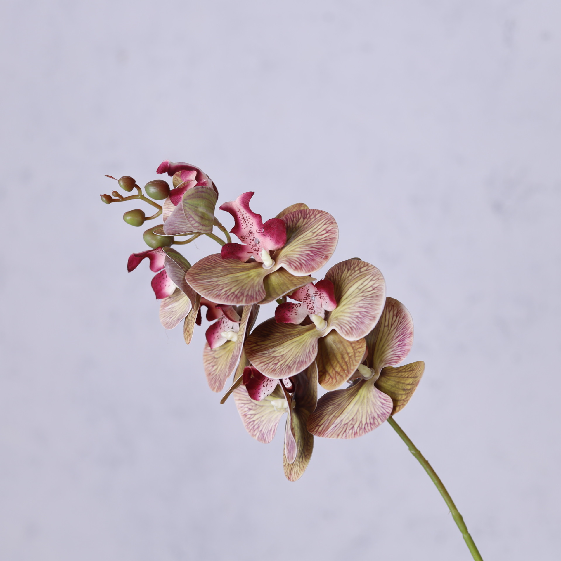 Impresión 3D de 7 cabezas de orquídeas mariposa flor de decoración de flores de alto nivel flor de nicho decoración floral decoración de sala de estar