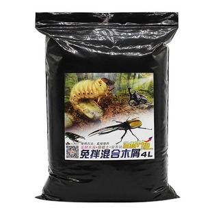 独角仙幼虫