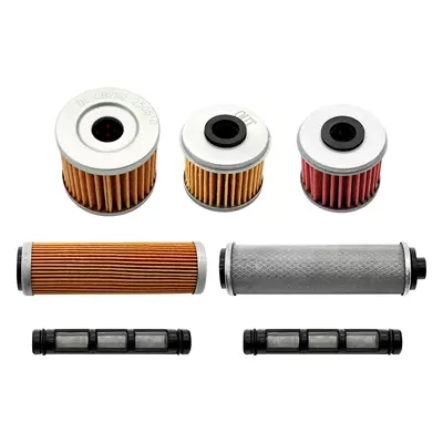Yb300H/Ybs300 Engine Motorcycle engine and accessories