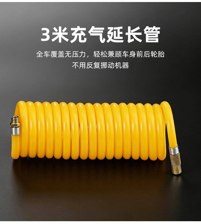Manufacturers supply car air pump 220V GB plug double cylinder air pump tire metal air pump