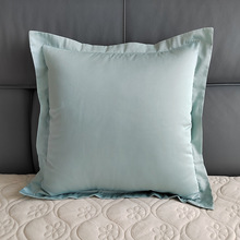 60支纯棉65x65卧室正方形抱枕套北欧ins风床头大靠背垫不含芯森粉