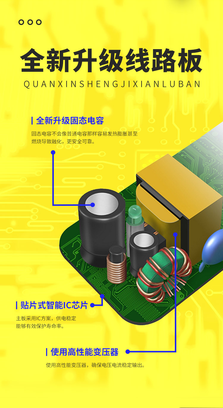 中龟详情_05.jpg