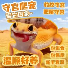 ���y�،m�������w�����������T��혿ɐ������o�����ˌ���W�t����