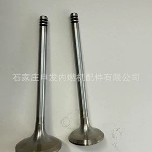In stock: Deutz 1015 intake valve 04226413, exhaust valve 04226412