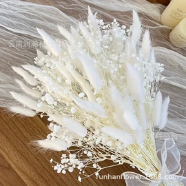 干花;永生花;竹木藤苇干草