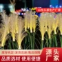 防水仿真发光花园装饰灯