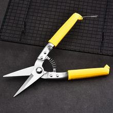 �FƤ���FƤ��피������Ǿ��ۼ���늹������ù��I����䓾������X��