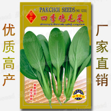 厂家大量批发鸡毛菜种子上海小油菜种籽青菜速生小白菜种子四季籽