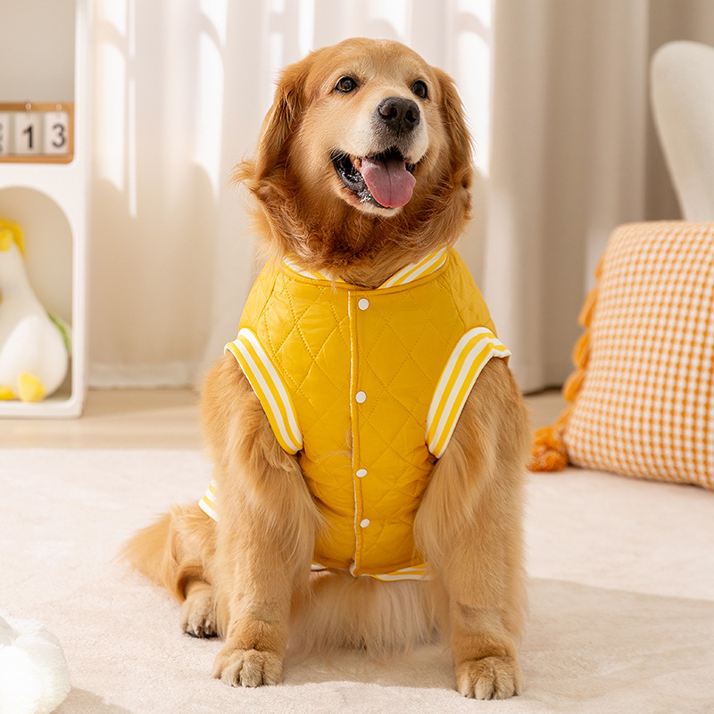 Amarillo inglés de algodón de algodón gran perro chaleco de algodón sin mangas dos pies engrosado otoño y invierno puede traer ropa de perro