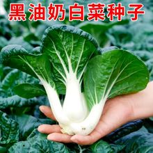 Ͱײ˷Nļ߲˷NͥԺͺ̨ͥСײԭbl߮aZ