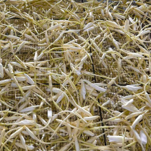 Ұ������əC ȫ�Ԅӻ���늿��� ���R�՚��ܟ���r�aƷ����O��