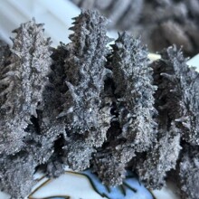 ��Դ�^���S��50-100g���ĸ�؛Ʒ�|�خa���l���ɴ�Ұ������1�����l