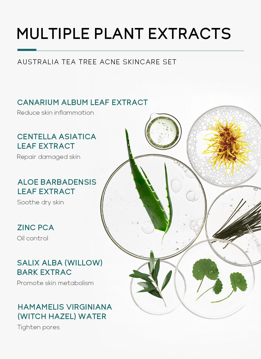 Facial Care Suit Facial Cleanser Cream Lotion Gel