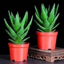 �J�C��ҹ�Ƕ���ֲ���J�C���Ի��ܷ�ݗ�����ȩ�����՚��k��������