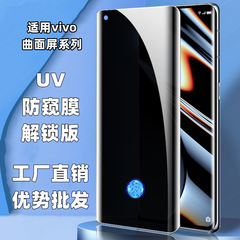 vivoX200PROY300pros19proiqoo12pro全画面UV覗き見防止強化フィルム高精細に適用