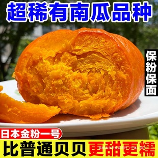 ���ڽ�ؐؐ�ϹϬFժ���Ϲ��ձ��ݺͽ��һ̖������tؐؐ�냺�oʳ