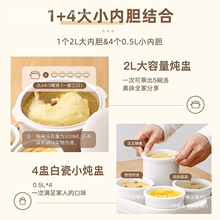 輔食鍋全自動電燉鍋電燉湯燉盅隔水燉家用電電砂鍋陶瓷煲湯