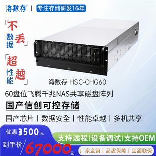 Domestic Independently Controllable Hailiang 60-Disk Gigabit Enterprise Office Multi-Person Shared Storage Space Chg60