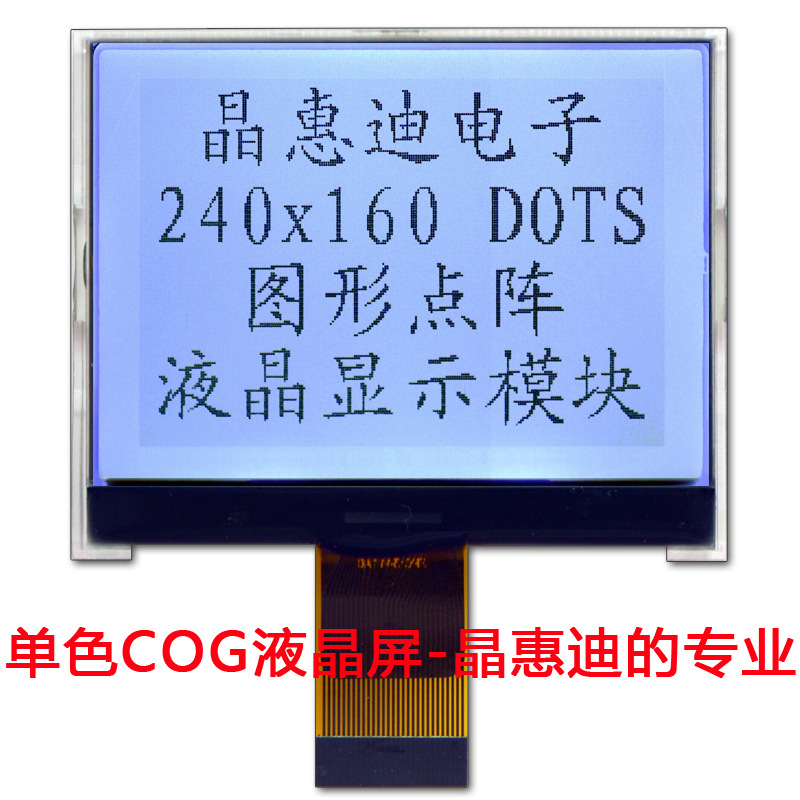 LCM 240160Һ LCD ʾģ ڰ 2.5 COG FSTN