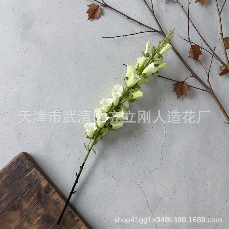 긴 가지의 풍경
