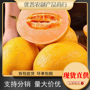 �����S���۹Ͻ����������ϕr������rˮ���������ɯ���SƤ