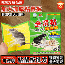 ���̏��������N����ճ�����ó�֮��Ч�������l