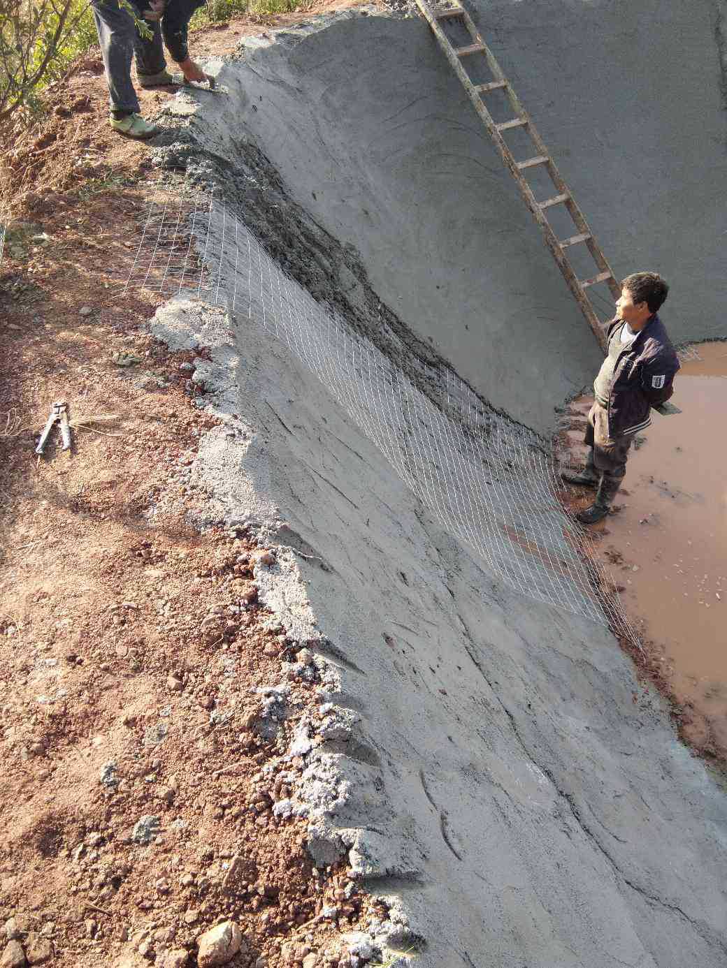 微信图片_20200702203518