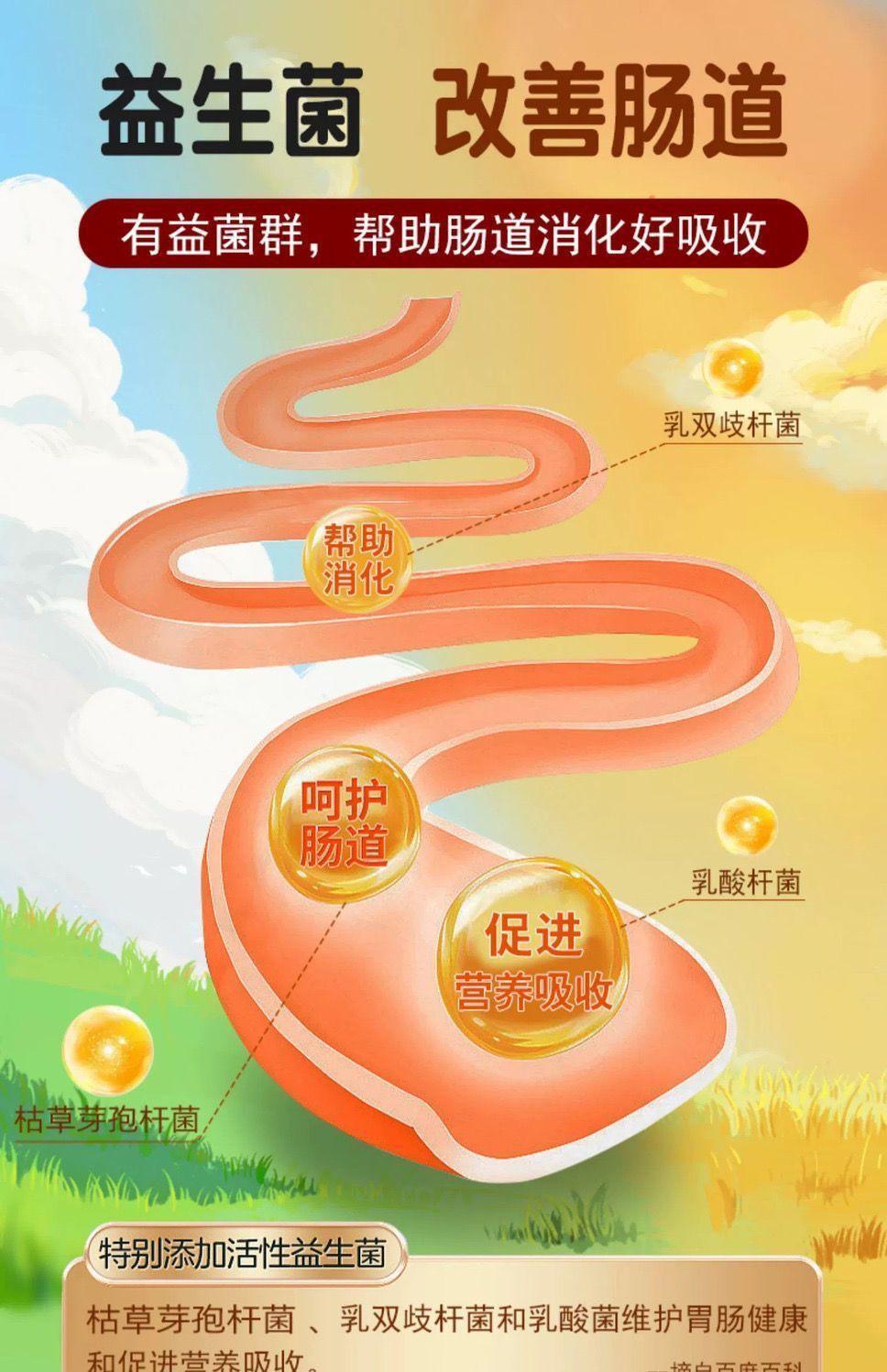 a44e056d-d372-4eba-b8f5-6b76ada9106f.jpe