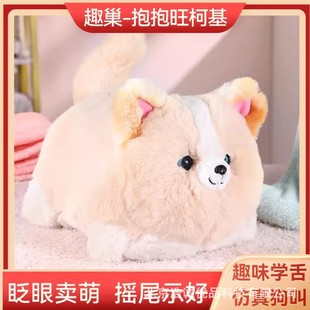 Ȥ���������»�ë�q���湷�����ܷ���գ�ۓuβ�͌W�fԒ��߹�����