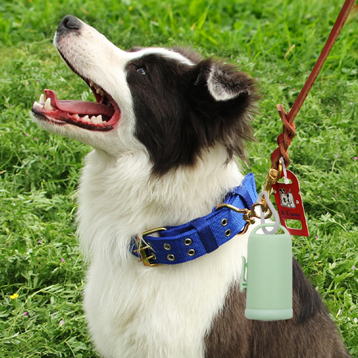 Distribuidor de bolsas de basura para mascotas, bolsa de mierda portátil y degradable, bolsa de basura de caja de arena para gatos desechable, bolsa de heces para perros