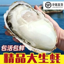 ��S�l؛�r��������r�ش�Ϡ��ĵϠ�����r�ʳ�ش�̖�U�~ʳ��