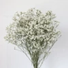Вечная кристальная трава, белая, 120 г