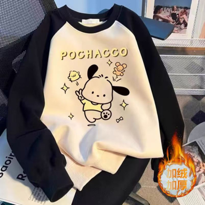 비에 강아지(벨벳 포함)