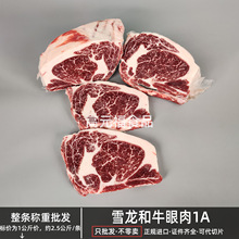 ѩ����Ѫ��ţ����1A ���Kԭ��ѩ��ţ�� ���Ϳ����� ��ͥţ��