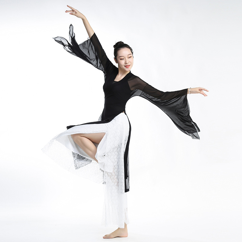 Classical Dance Clothing Women's New Style Antique Han and Tang Dynasties Big Sleeve Body Rhyme Yarn Clothes Elegant Wide Sleeve Chinese Dance Table Performance Clothing